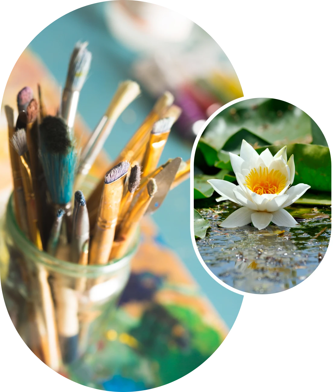 Water lily on pond