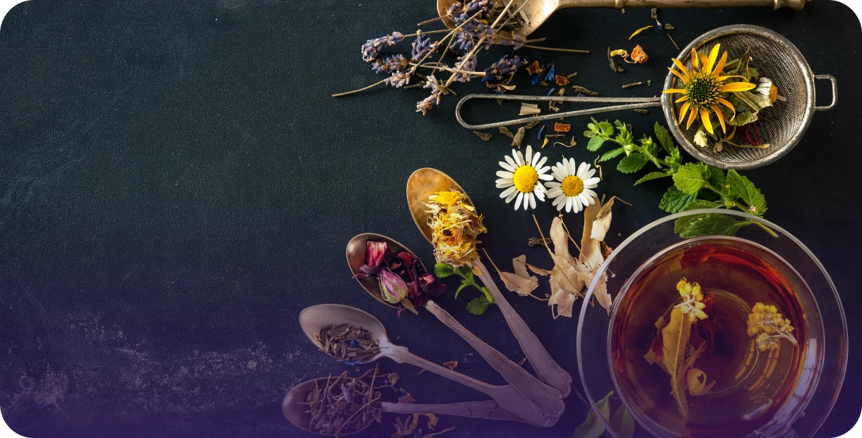 Assorted herbs and flowers for tea